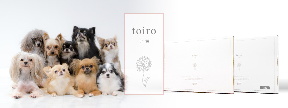 toiro ‐ 十色 ‐